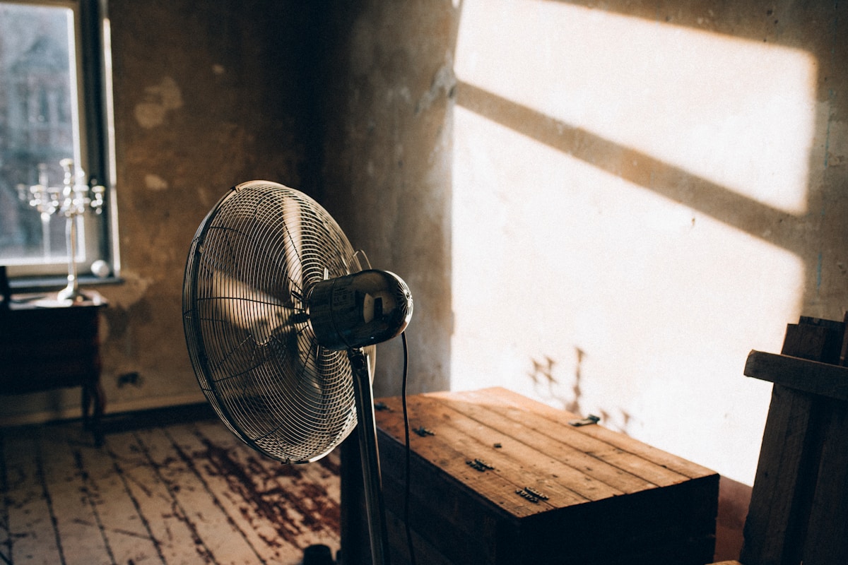 Mold Remediation service in Hammond, IN